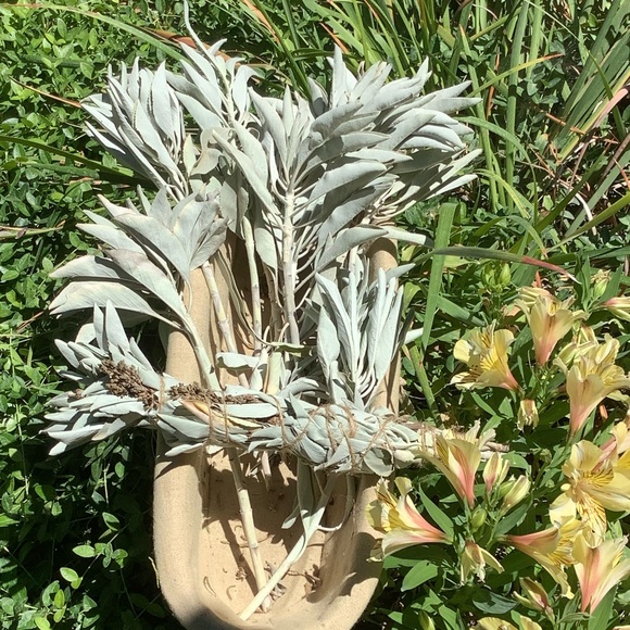 Sage w Lavender. 1 Stick. 12”x 1”. Organic. - Picture 5 of 12